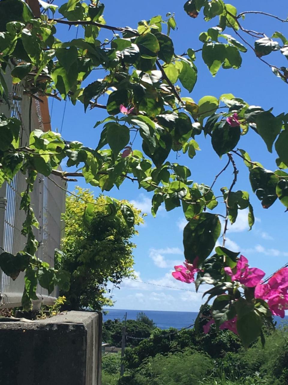 海之恋 Villa Miyakojima  ภายนอก รูปภาพ