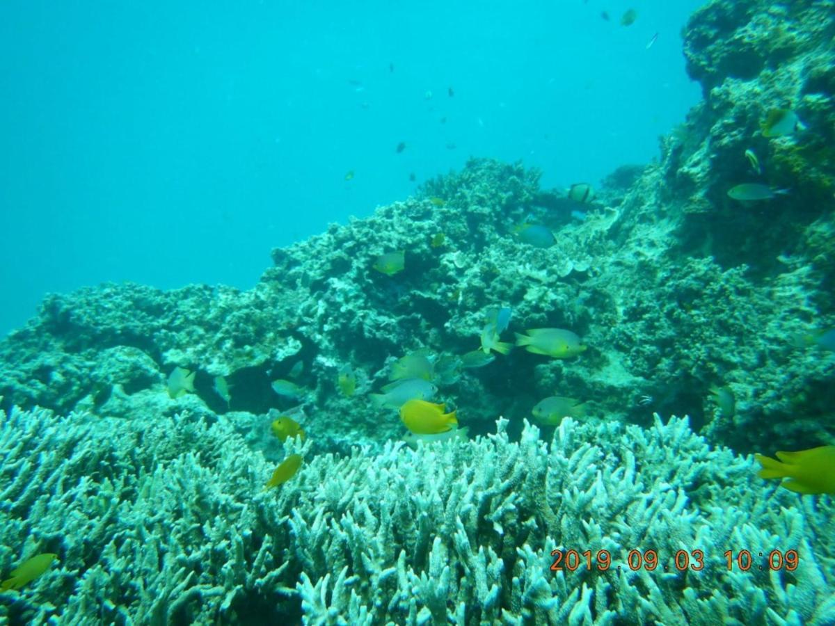 海之恋 Villa Miyakojima  ภายนอก รูปภาพ